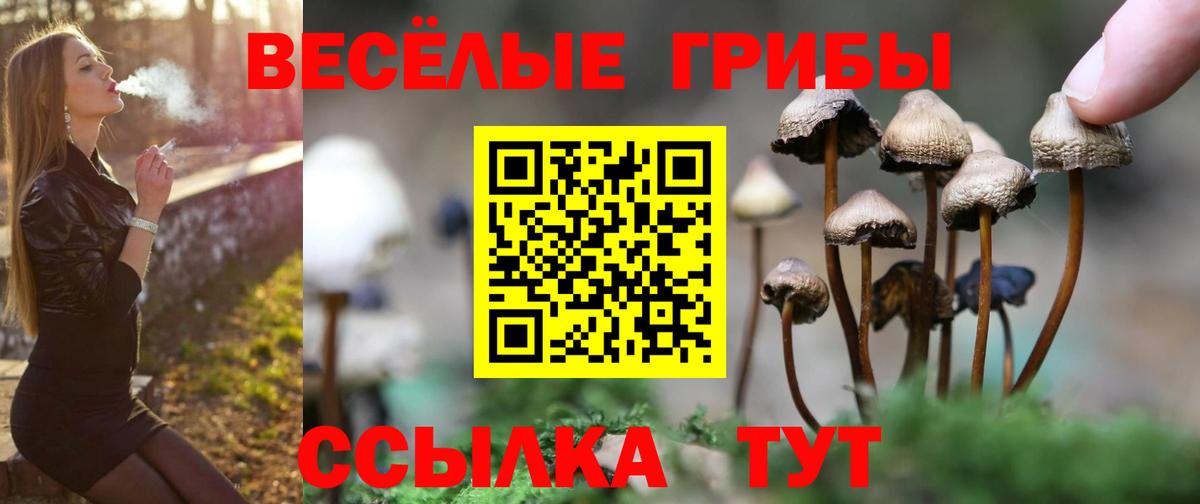 Псилоцибиновые грибы ЛСД  Вход с VPN  Владивосток 